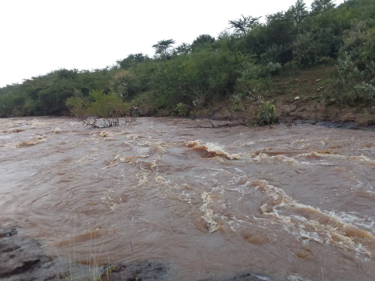 Molo River